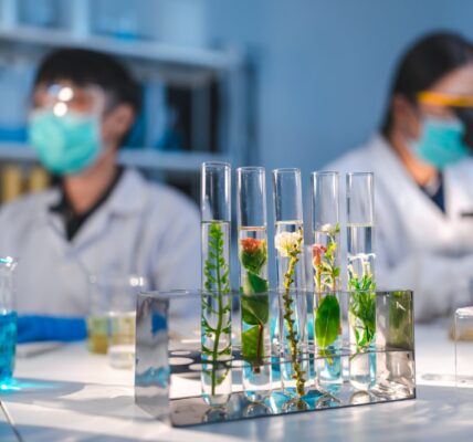 Rola biotechnologii w produkcji żywności przyszłości 6 biotechnology