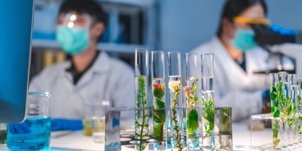 Rola biotechnologii w produkcji żywności przyszłości 19 biotechnology