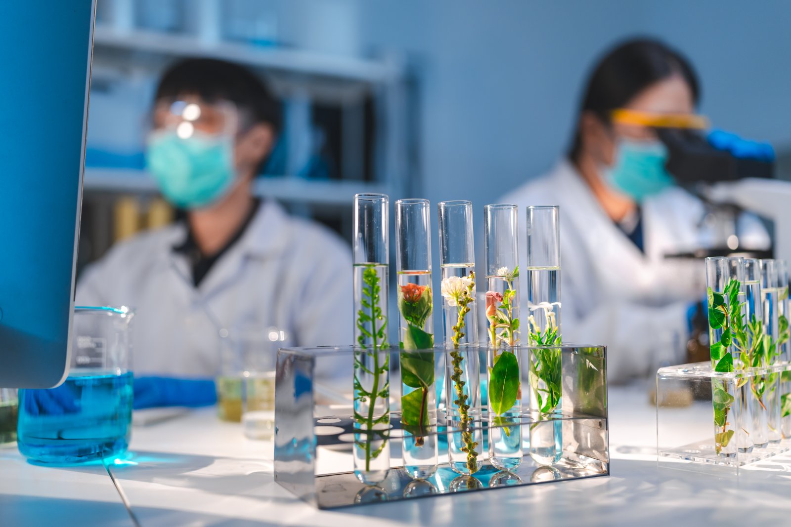 Rola biotechnologii w produkcji żywności przyszłości 8 biotechnology