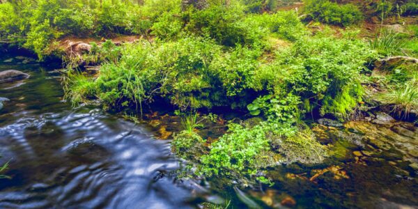 Wpływ zmian klimatycznych na bioróżnorodność ekosystemów 18 ecosystem