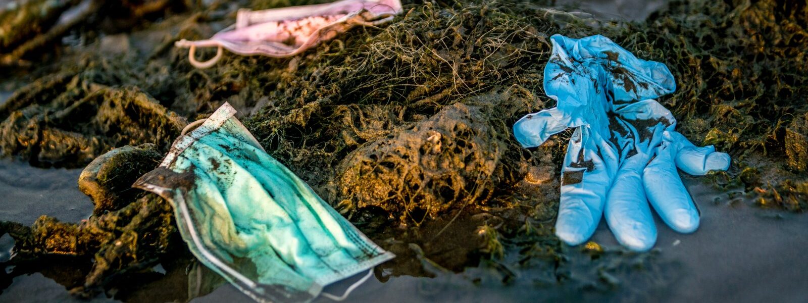 Wpływ mikroplastiku na zdrowie ludzi i zwierząt 1 plastic