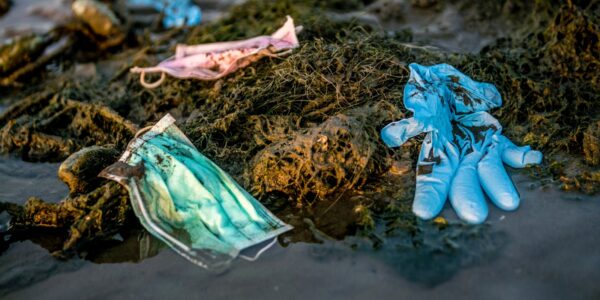Wpływ mikroplastiku na zdrowie ludzi i zwierząt 16 plastic