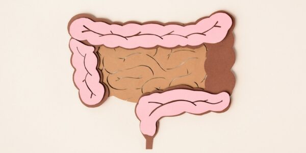 Mikrobiom człowieka - jak bakterie wpływają na nasze zdrowie? 26 elevated view of human large intestine on beige 2024 11 17 20 37 24 utc