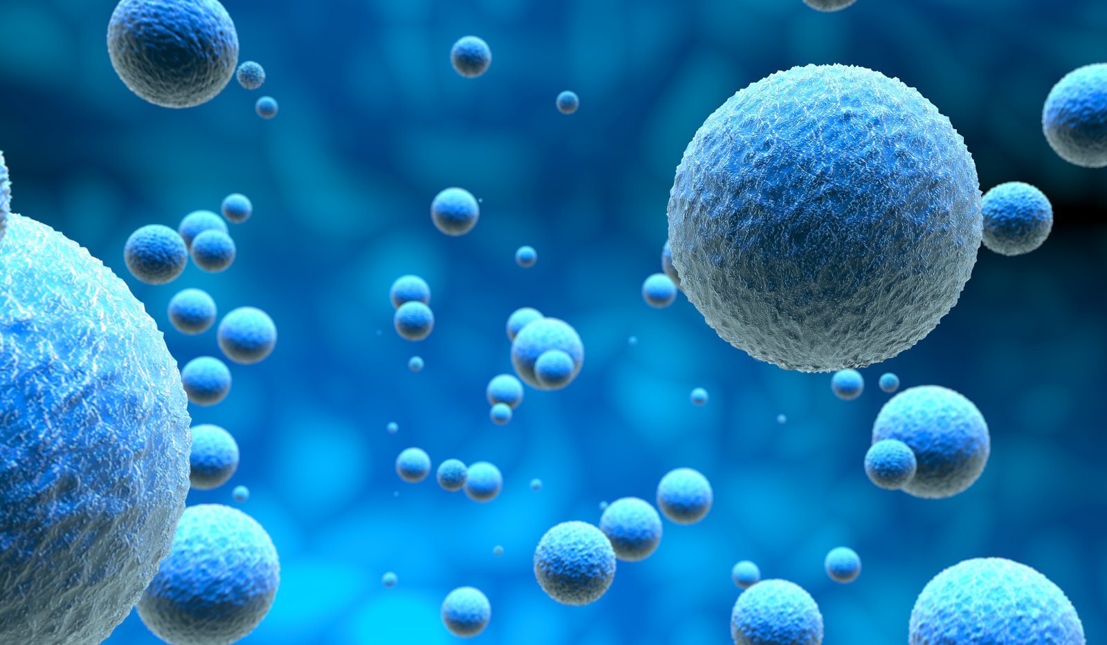 Nanotechnologia w medycynie - Przyszłość terapii? 10 microscopic cells in a blue background 3d illustr 2024 09 17 21 45 09 utc
