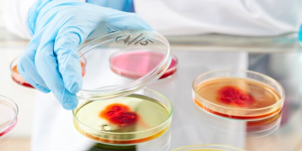 Komórki macierzyste – nadzieja współczesnej medycyny 23 laboratorium