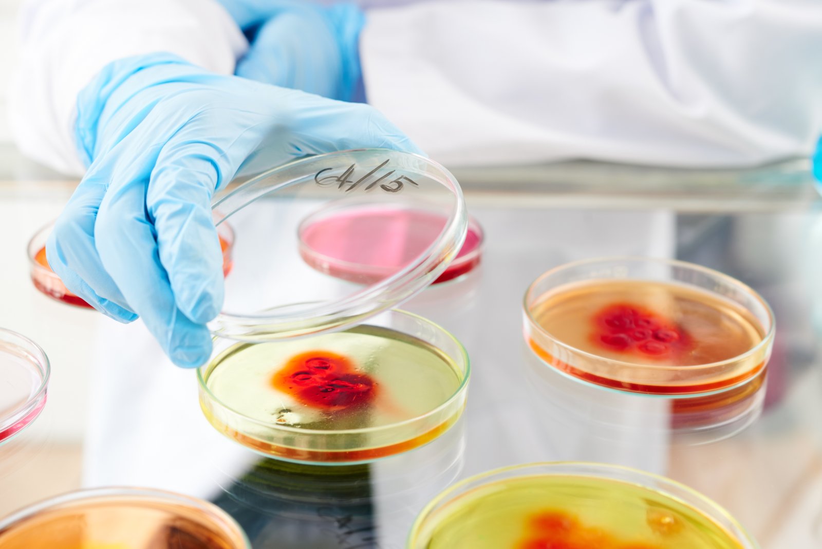 Komórki macierzyste – nadzieja współczesnej medycyny 5 laboratorium