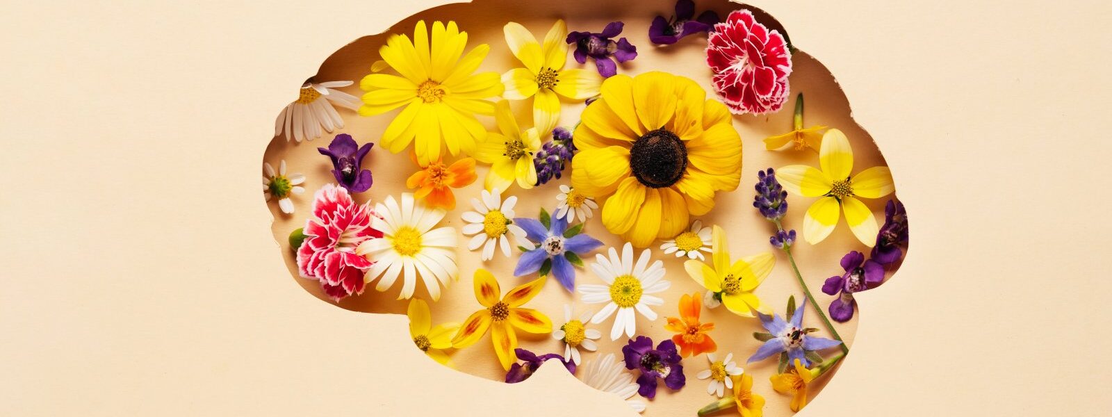 Neuroestetyka – jak mózg odbiera piękno? 1 metafora odbioru piękna przez mózg